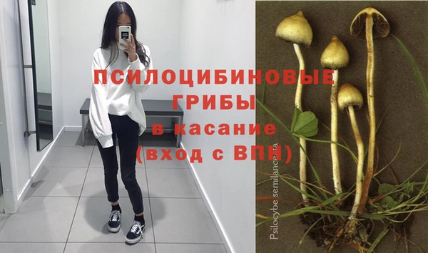 твердый Нефтекумск