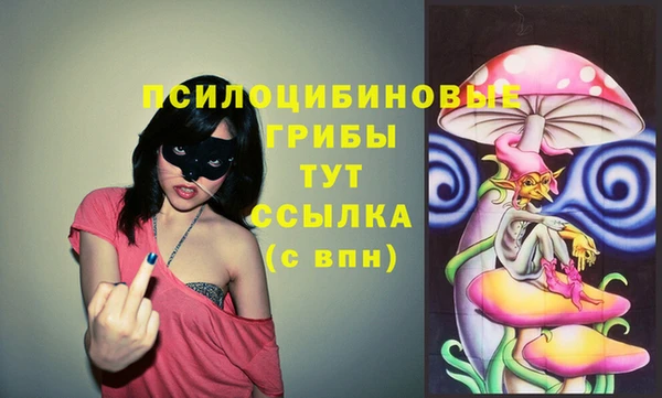 гидра Наволоки