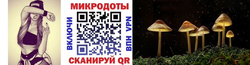 Псилоцибиновые грибы Psilocybe  закладка  Сызрань 
